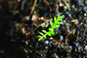 方山縣小家電有限責任公司